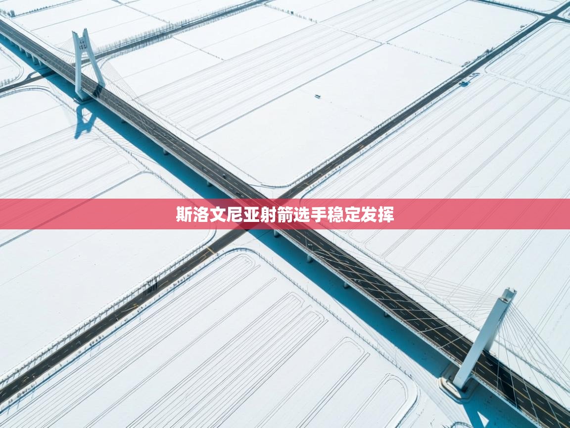 开云体育夜间模式开启-斯洛文尼亚射箭选手稳定发挥