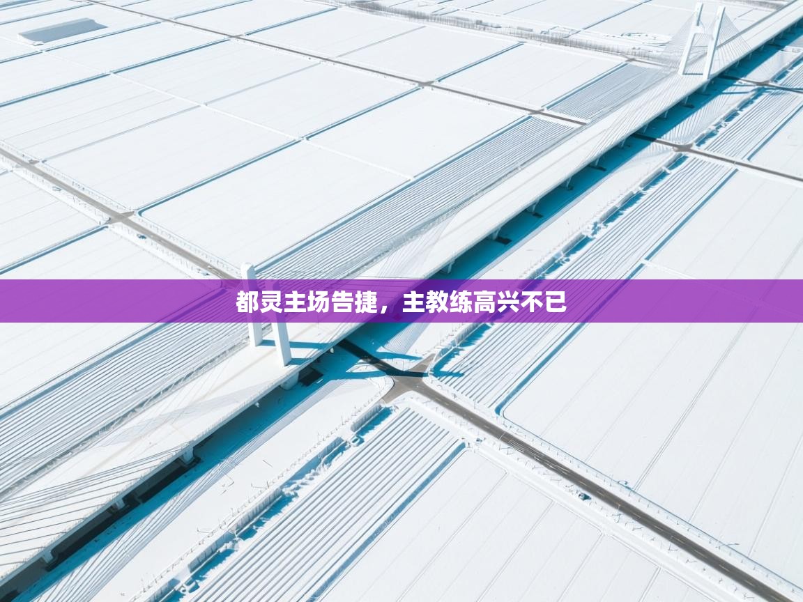 开云体育入口手机版-都灵主场告捷,主教练高兴不已 第2张