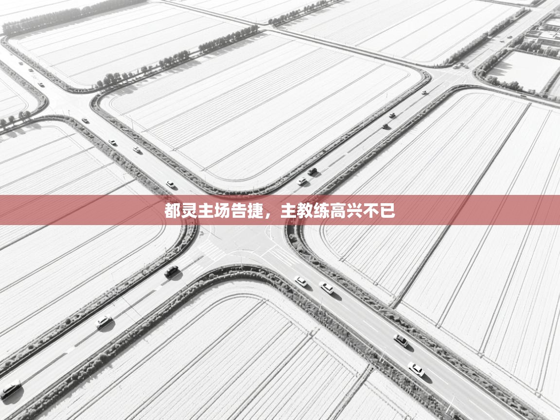 开云体育入口手机版-都灵主场告捷,主教练高兴不已 第3张