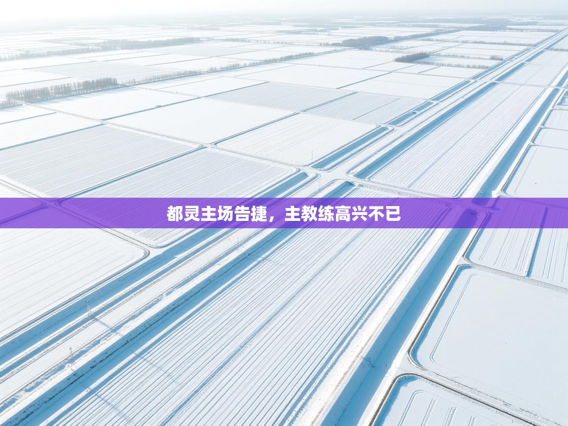 开云体育入口手机版-都灵主场告捷,主教练高兴不已 第4张