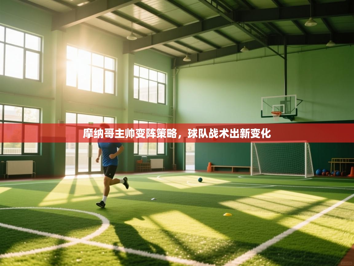 开云体育app下载入口-摩纳哥主帅变阵策略，球队战术出新变化  第1张