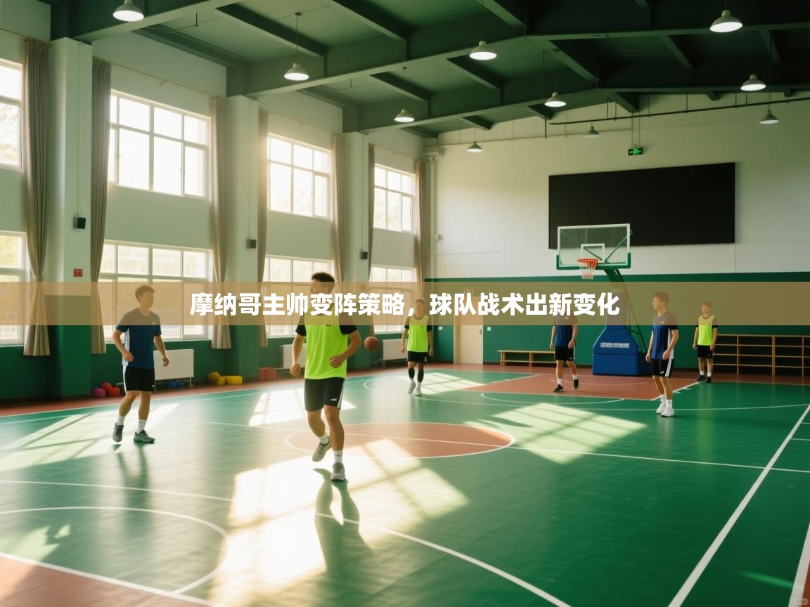 开云体育app下载入口-摩纳哥主帅变阵策略，球队战术出新变化  第3张