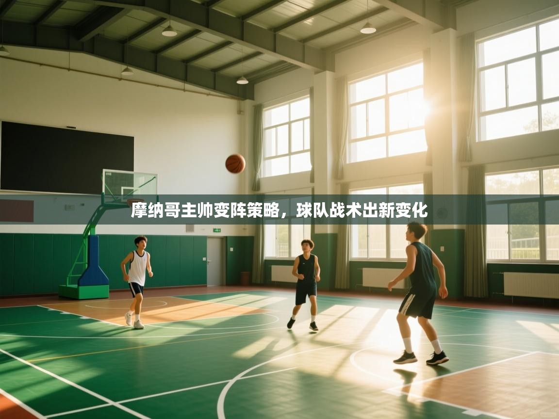 开云体育app下载入口-摩纳哥主帅变阵策略，球队战术出新变化  第4张