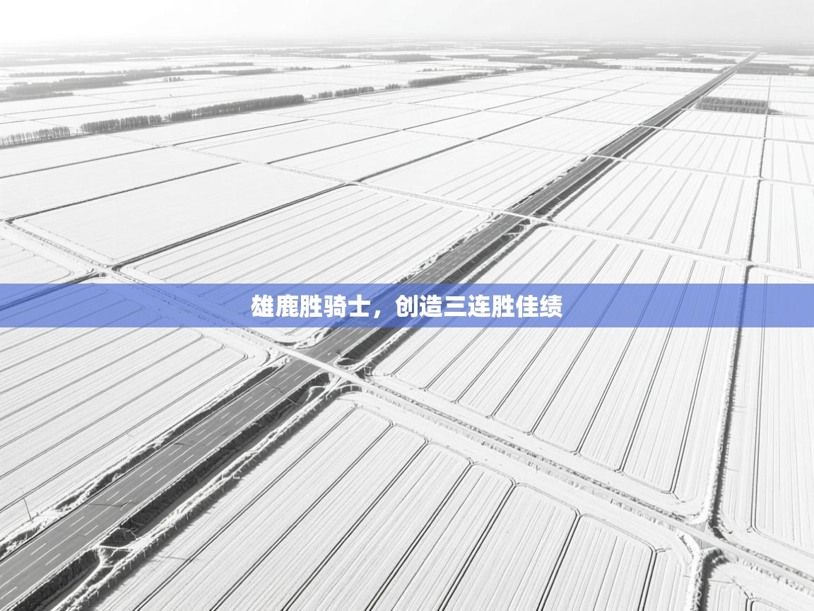 开云体育安装失败怎么办-雄鹿胜骑士，创造三连胜佳绩  第4张