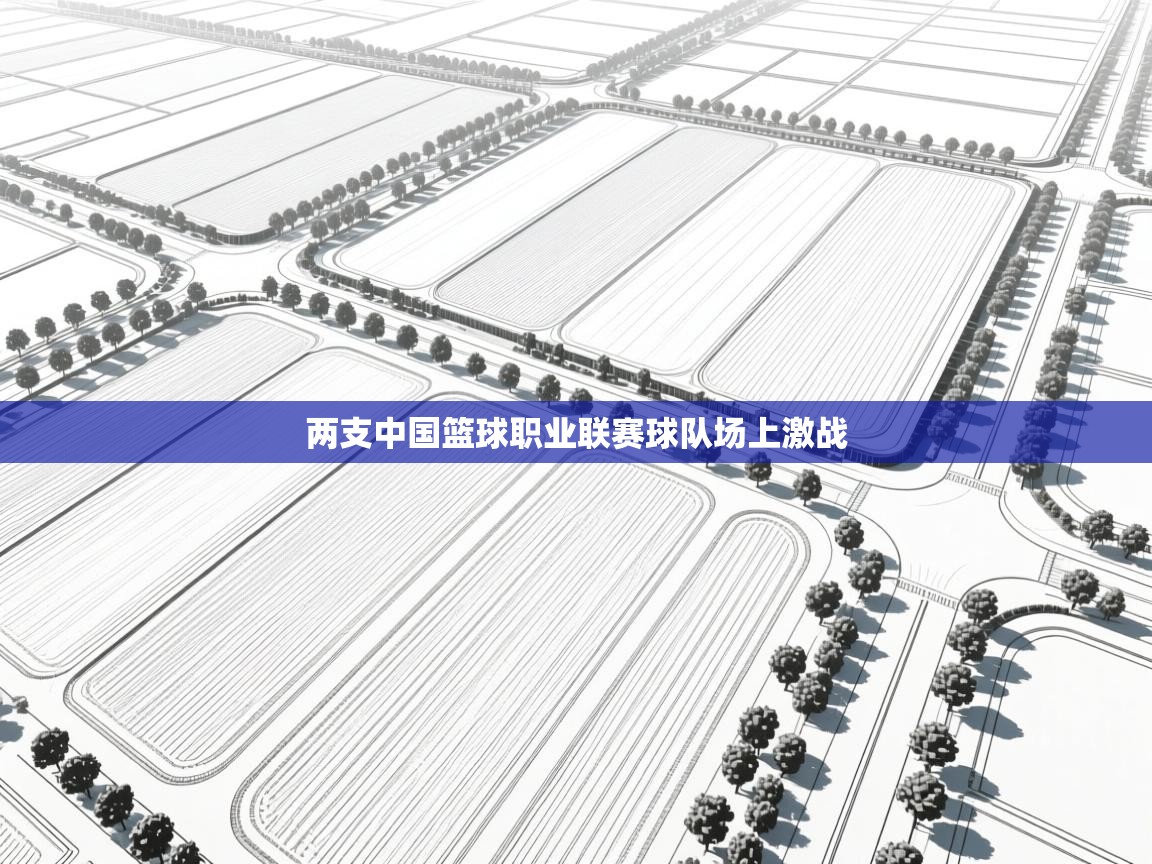 开云体育在线下载-两支中国篮球职业联赛球队场上激战  第1张