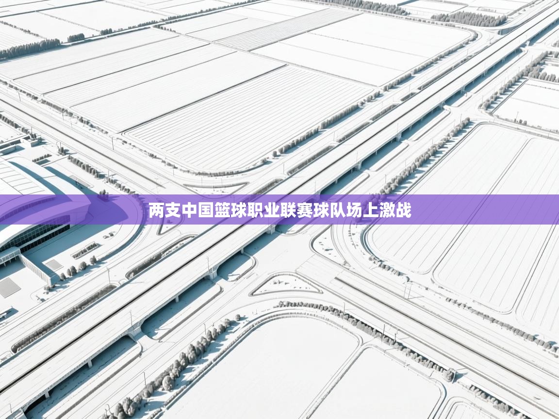 开云体育在线下载-两支中国篮球职业联赛球队场上激战  第2张