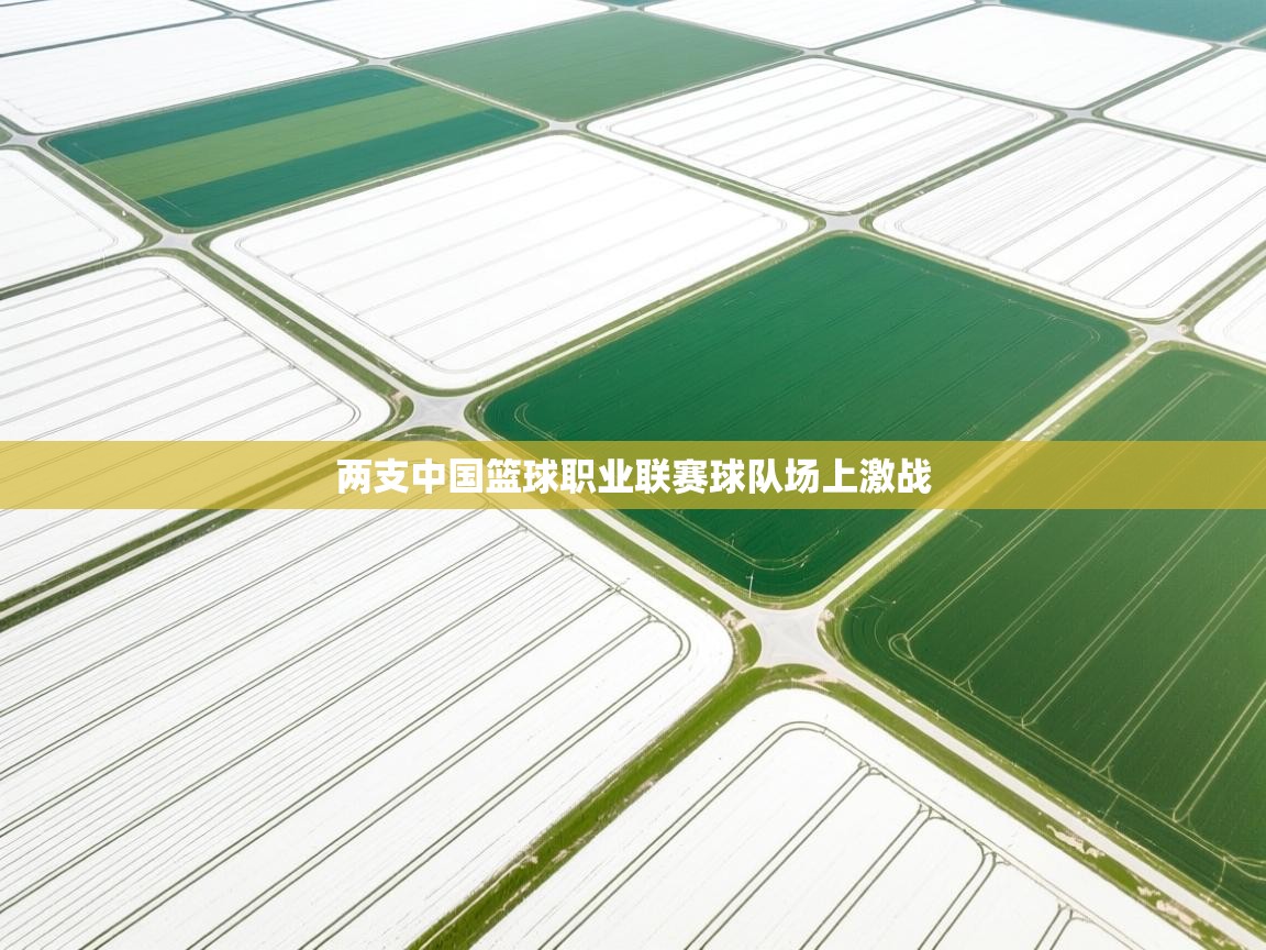 开云体育在线下载-两支中国篮球职业联赛球队场上激战  第4张