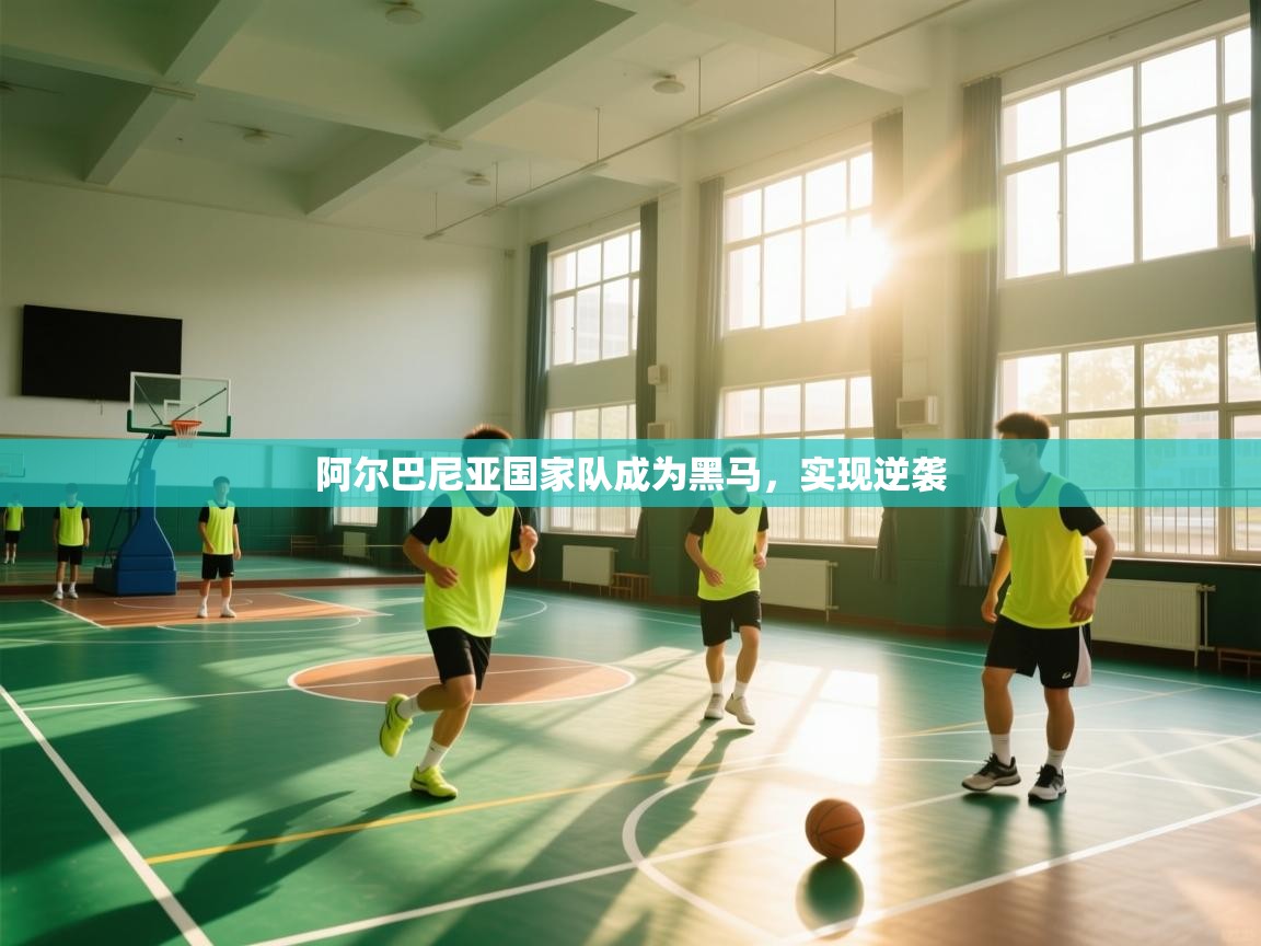 开云体育入口注册-阿尔巴尼亚国家队成为黑马，实现逆袭  第1张