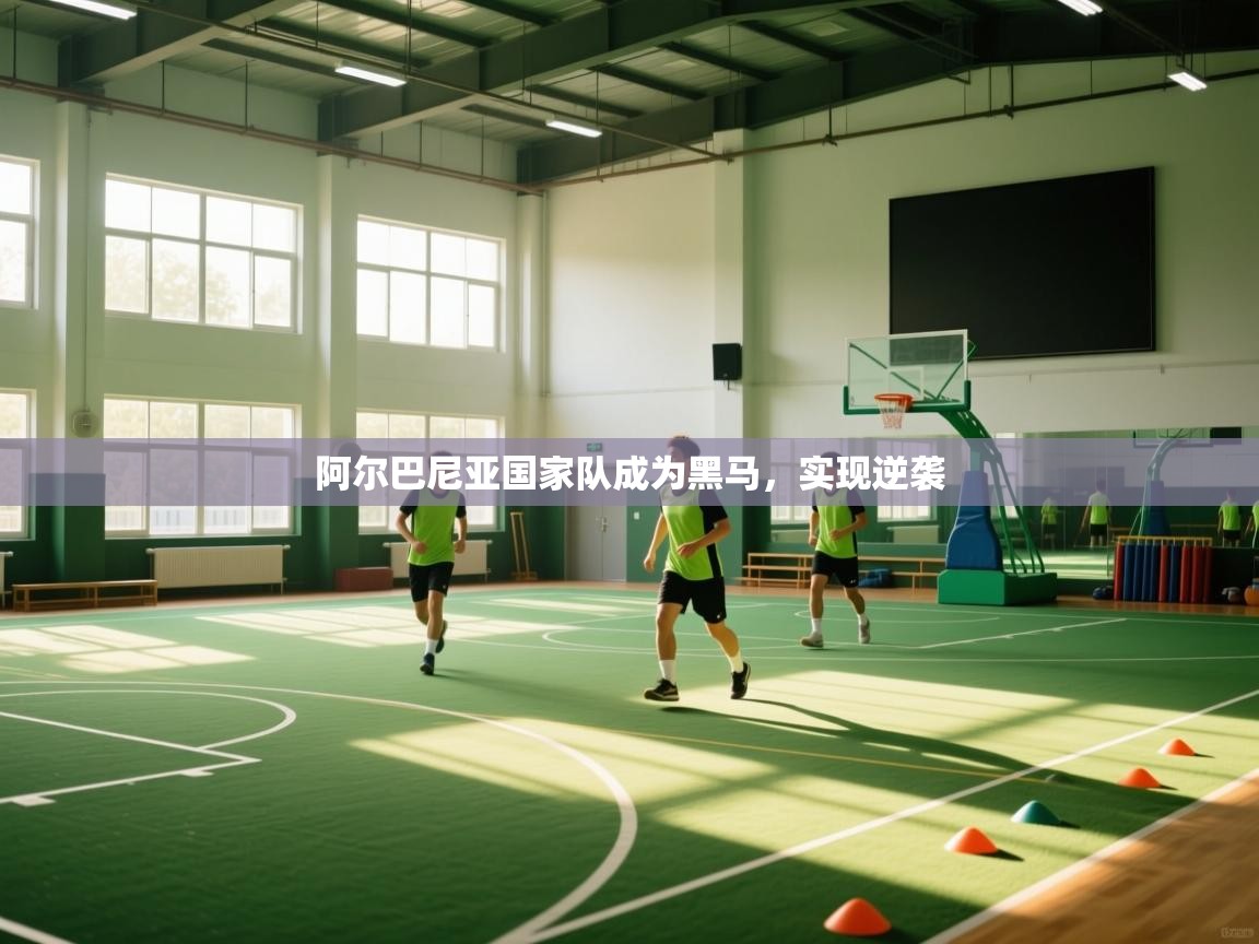 开云体育入口注册-阿尔巴尼亚国家队成为黑马，实现逆袭  第2张