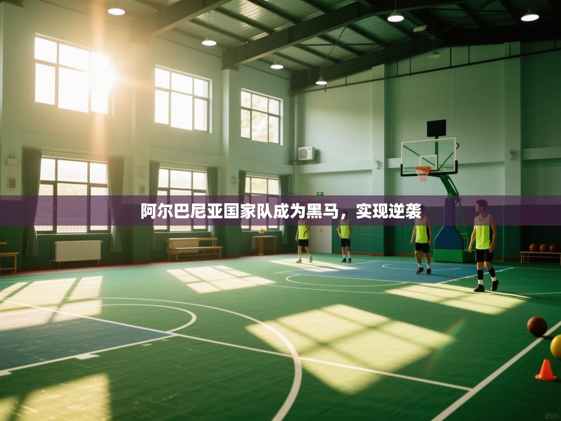 开云体育入口注册-阿尔巴尼亚国家队成为黑马，实现逆袭  第3张