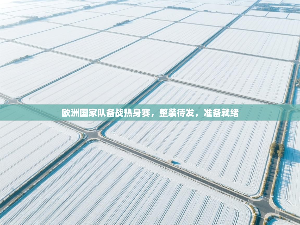 开云体育旧版下载地址-欧洲国家队备战热身赛，整装待发，准备就绪  第4张