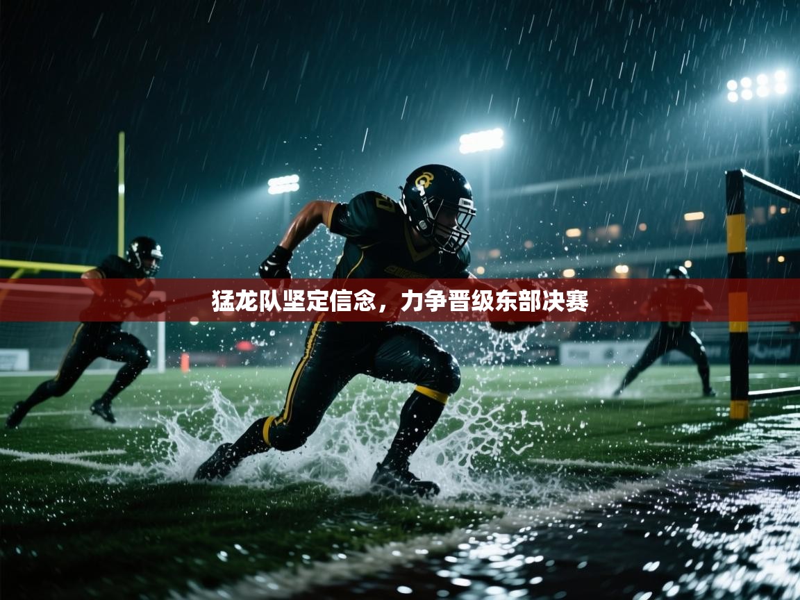 云开官网-猛龙队坚定信念，力争晋级东部决赛  第4张