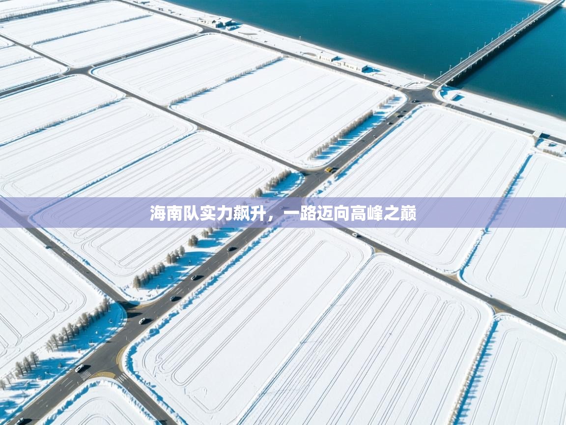 开云体育入口平台-海南队实力飙升，一路迈向高峰之巅  第1张