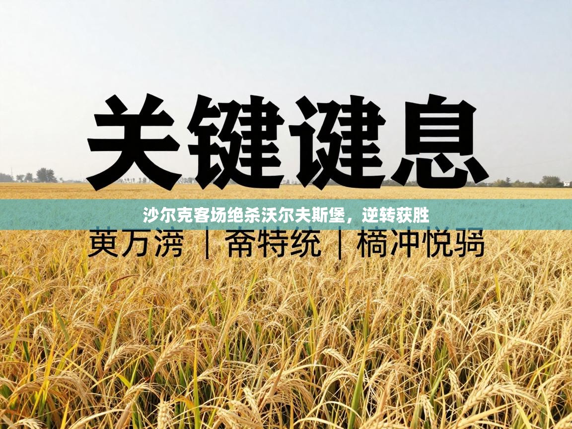 开云体育app官网入口-沙尔克客场绝杀沃尔夫斯堡，逆转获胜  第2张