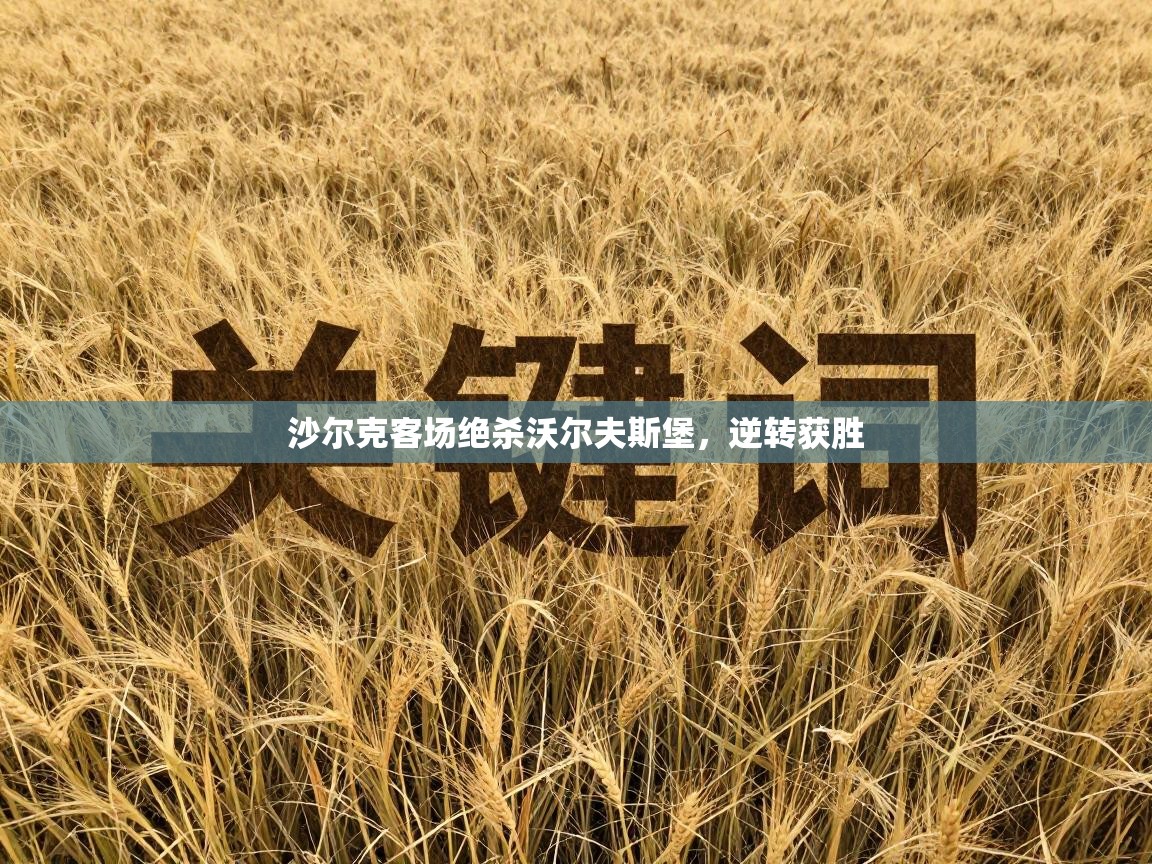 开云体育app官网入口-沙尔克客场绝杀沃尔夫斯堡，逆转获胜  第3张