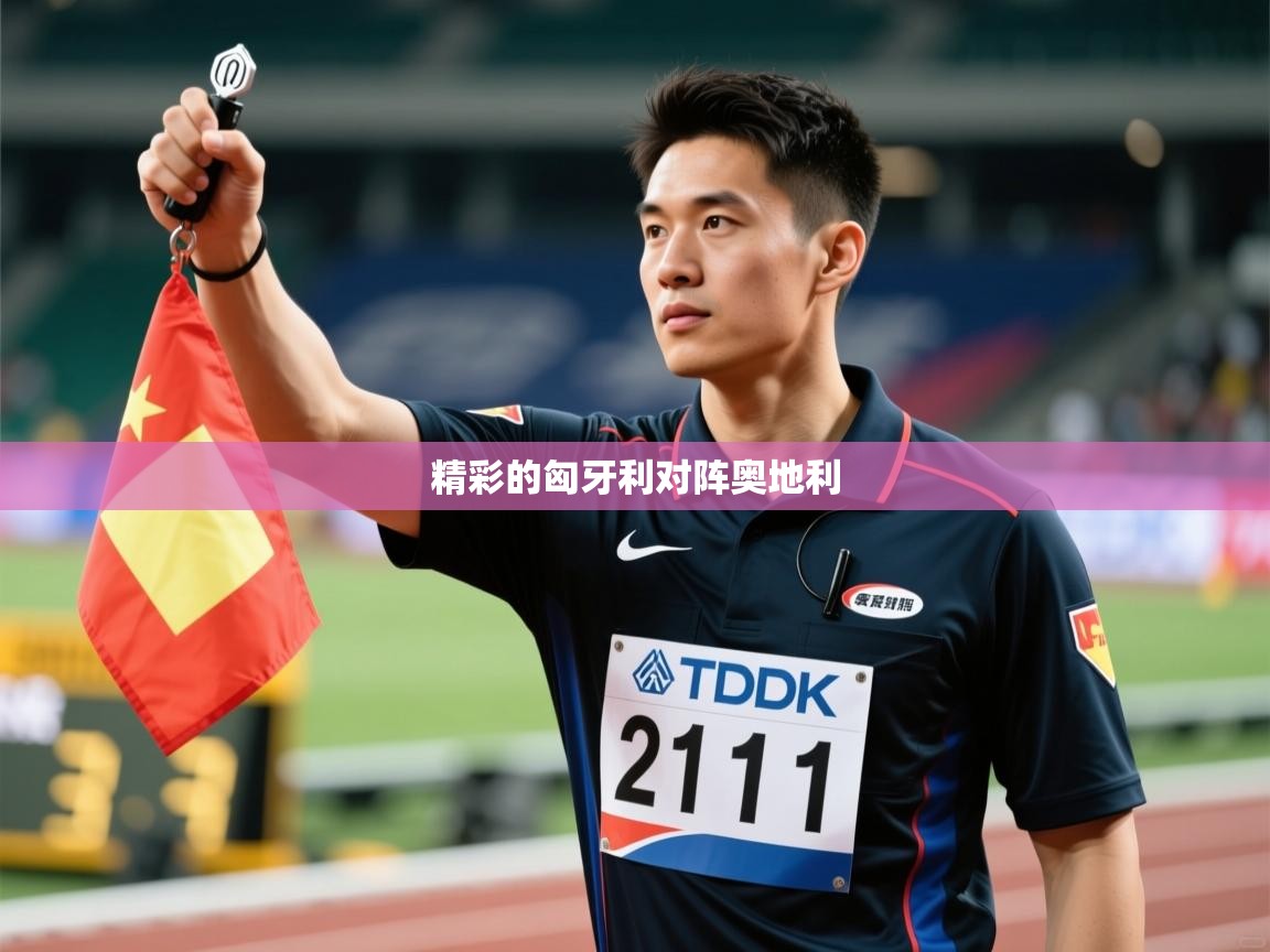 云开体育app网页版入口-精彩的匈牙利对阵奥地利  第2张