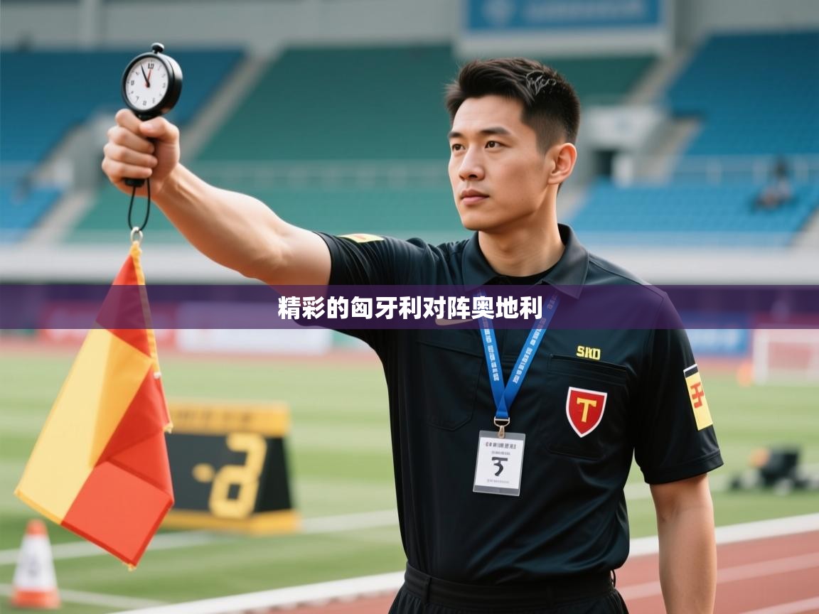 云开体育app网页版入口-精彩的匈牙利对阵奥地利  第1张