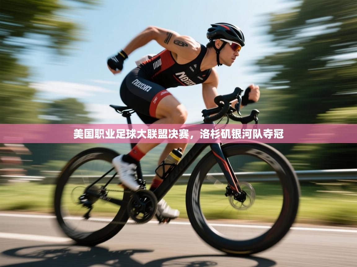 云开体育app官网入口网页版-美国职业足球大联盟决赛，洛杉矶银河队夺冠  第2张